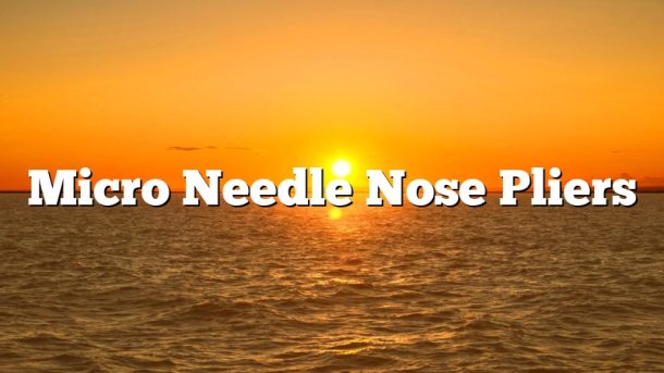 Micro Needle Nose Pliers