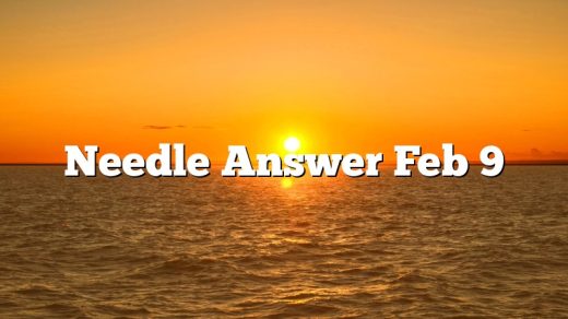 Needle Answer Feb 9