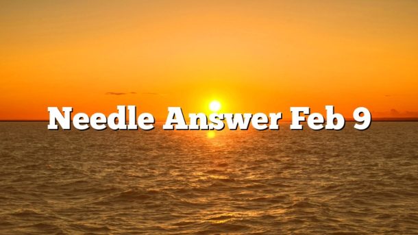 Needle Answer Feb 9