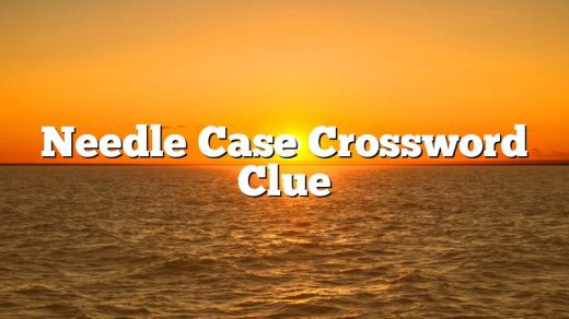 Needle Case Crossword Clue