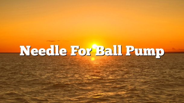 Needle For Ball Pump