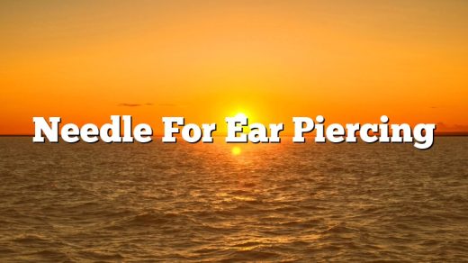 Needle For Ear Piercing
