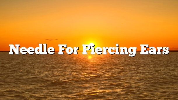 Needle For Piercing Ears