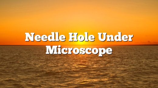 Needle Hole Under Microscope