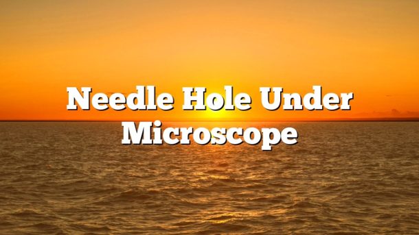 Needle Hole Under Microscope