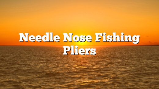 Needle Nose Fishing Pliers