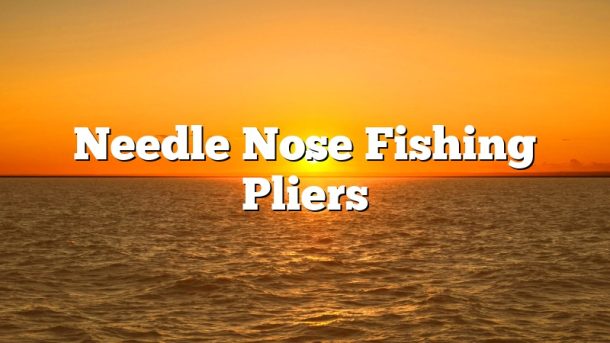 Needle Nose Fishing Pliers