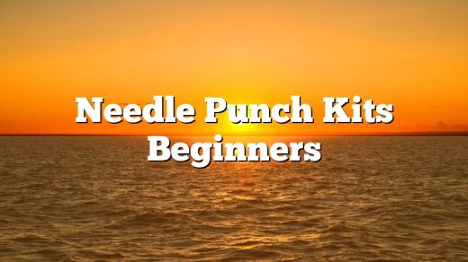 Needle Punch Kits Beginners