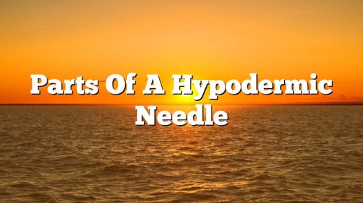Parts Of A Hypodermic Needle