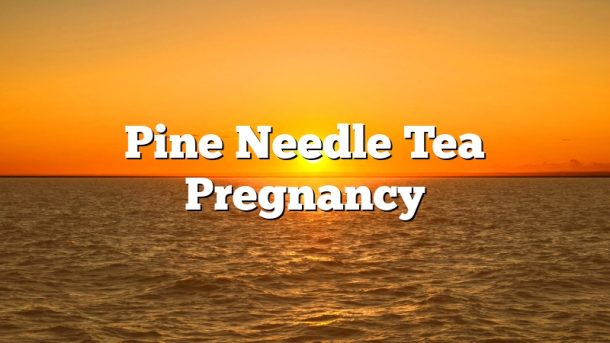 Pine Needle Tea Pregnancy