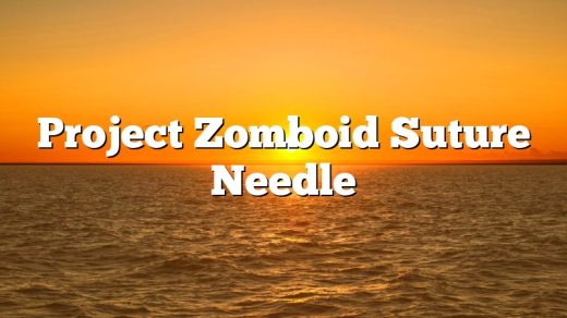Project Zomboid Suture Needle