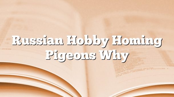 Russian Hobby Homing Pigeons Why