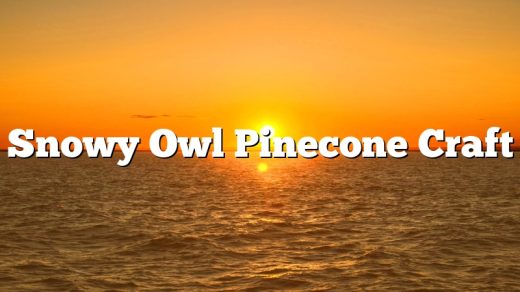 Snowy Owl Pinecone Craft