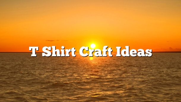 T Shirt Craft Ideas
