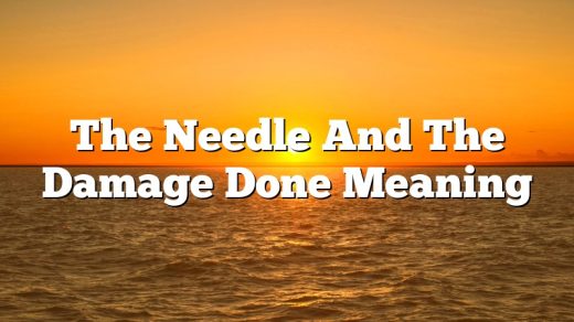The Needle And The Damage Done Meaning