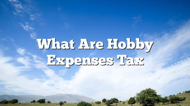 What Are Hobby Expenses Tax