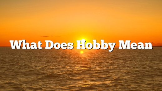 What Does Hobby Mean