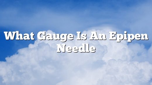 What Gauge Is An Epipen Needle