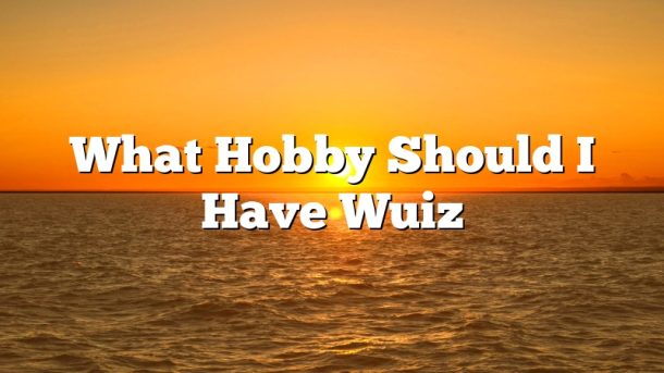 What Hobby Should I Have Wuiz