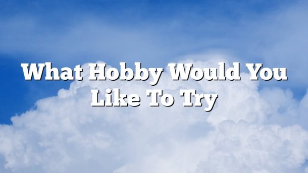 What Hobby Would You Like To Try