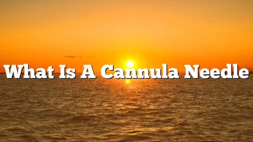 What Is A Cannula Needle