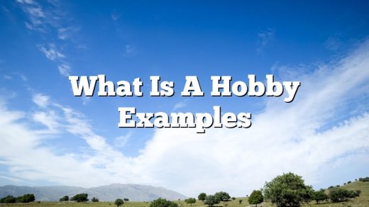 What Is A Hobby Examples