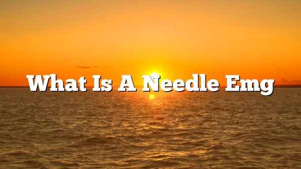 What Is A Needle Emg