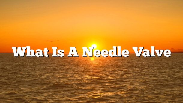 What Is A Needle Valve