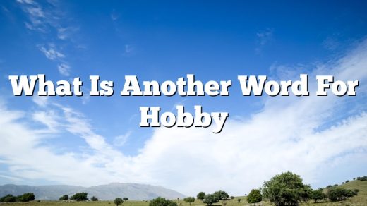 What Is Another Word For Hobby