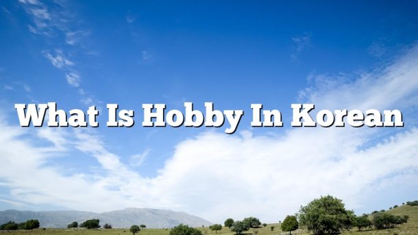 What Is Hobby In Korean