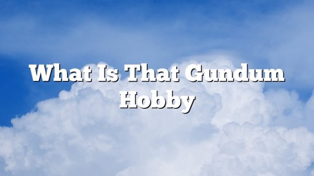 What Is That Gundum Hobby