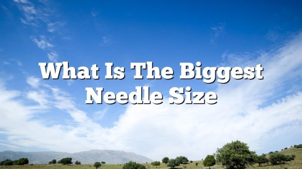 What Is The Biggest Needle Size