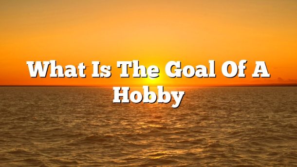 What Is The Goal Of A Hobby
