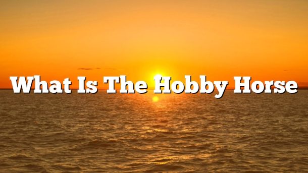 What Is The Hobby Horse