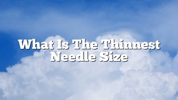 What Is The Thinnest Needle Size