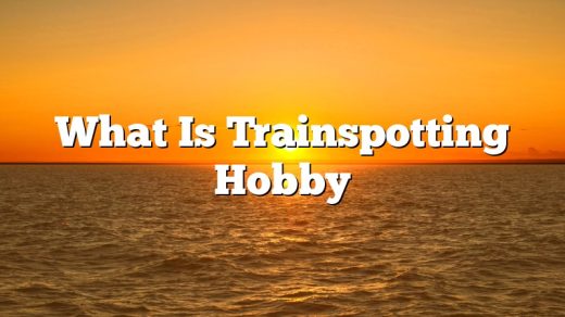 What Is Trainspotting Hobby