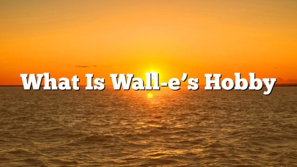 What Is Wall-e’s Hobby