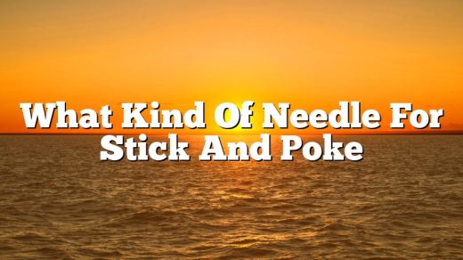 What Kind Of Needle For Stick And Poke