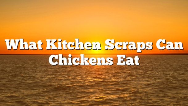 What Kitchen Scraps Can Chickens Eat