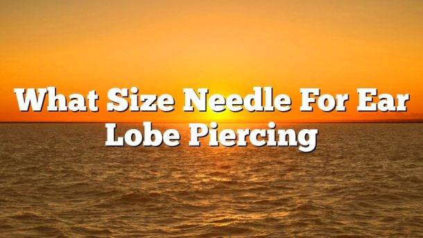 What Size Needle For Ear Lobe Piercing