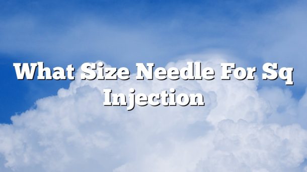 What Size Needle For Sq Injection