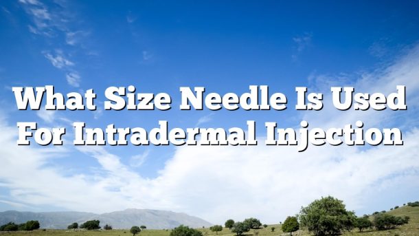 What Size Needle Is Used For Intradermal Injection