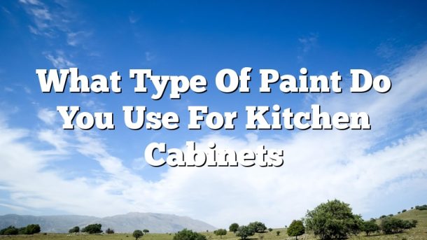 What Type Of Paint Do You Use For Kitchen Cabinets
