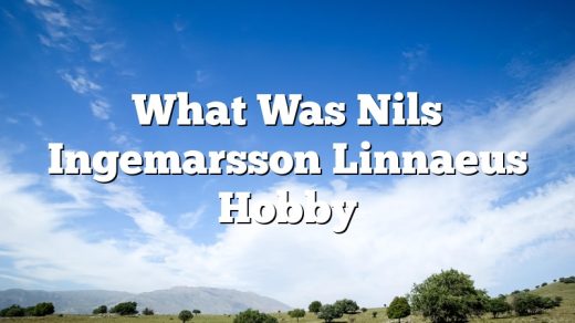 What Was Nils Ingemarsson Linnaeus Hobby