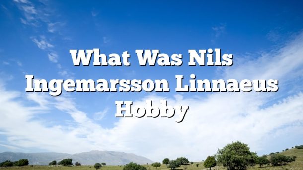 What Was Nils Ingemarsson Linnaeus Hobby