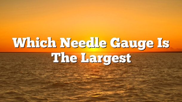 Which Needle Gauge Is The Largest