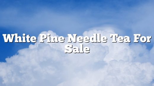 White Pine Needle Tea For Sale
