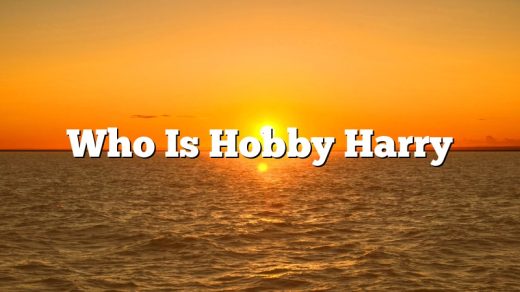 Who Is Hobby Harry