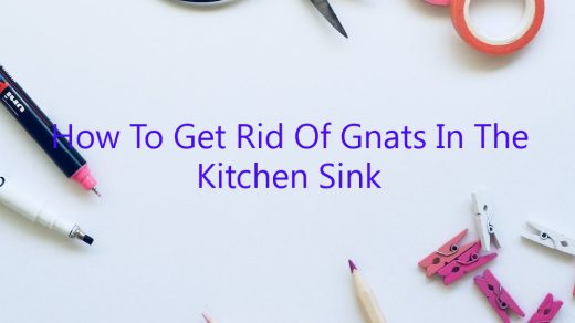 getting rid of gnats in kitchen sink